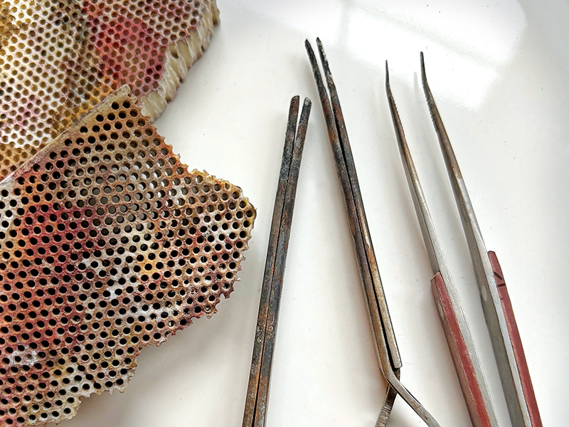 Reinventing the Ruined